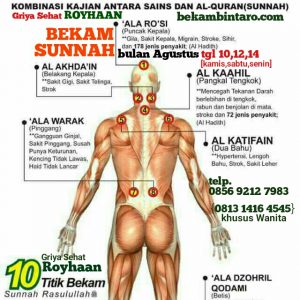 Bekam di Serpong - BSD (Home Service)  Griya Sehat Royhaan